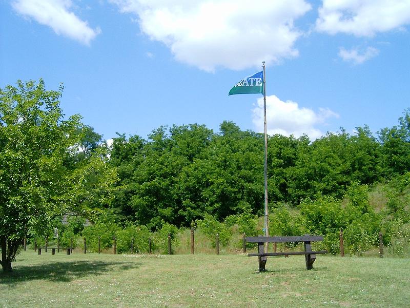 20100709 012.jpg